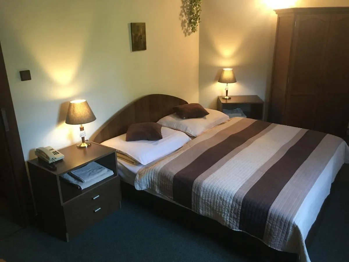 Guest house Pension Vetrnik Prague