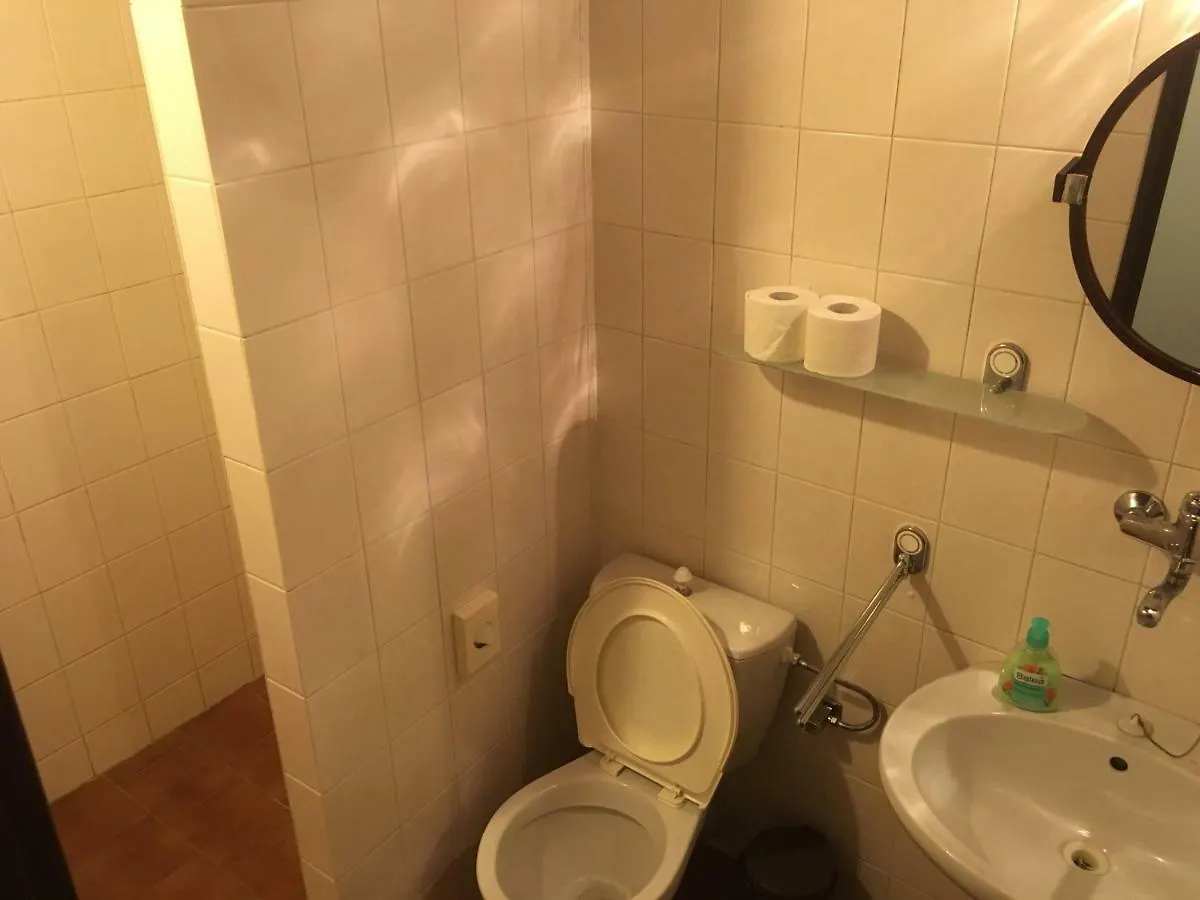 Pension Vetrnik Prague